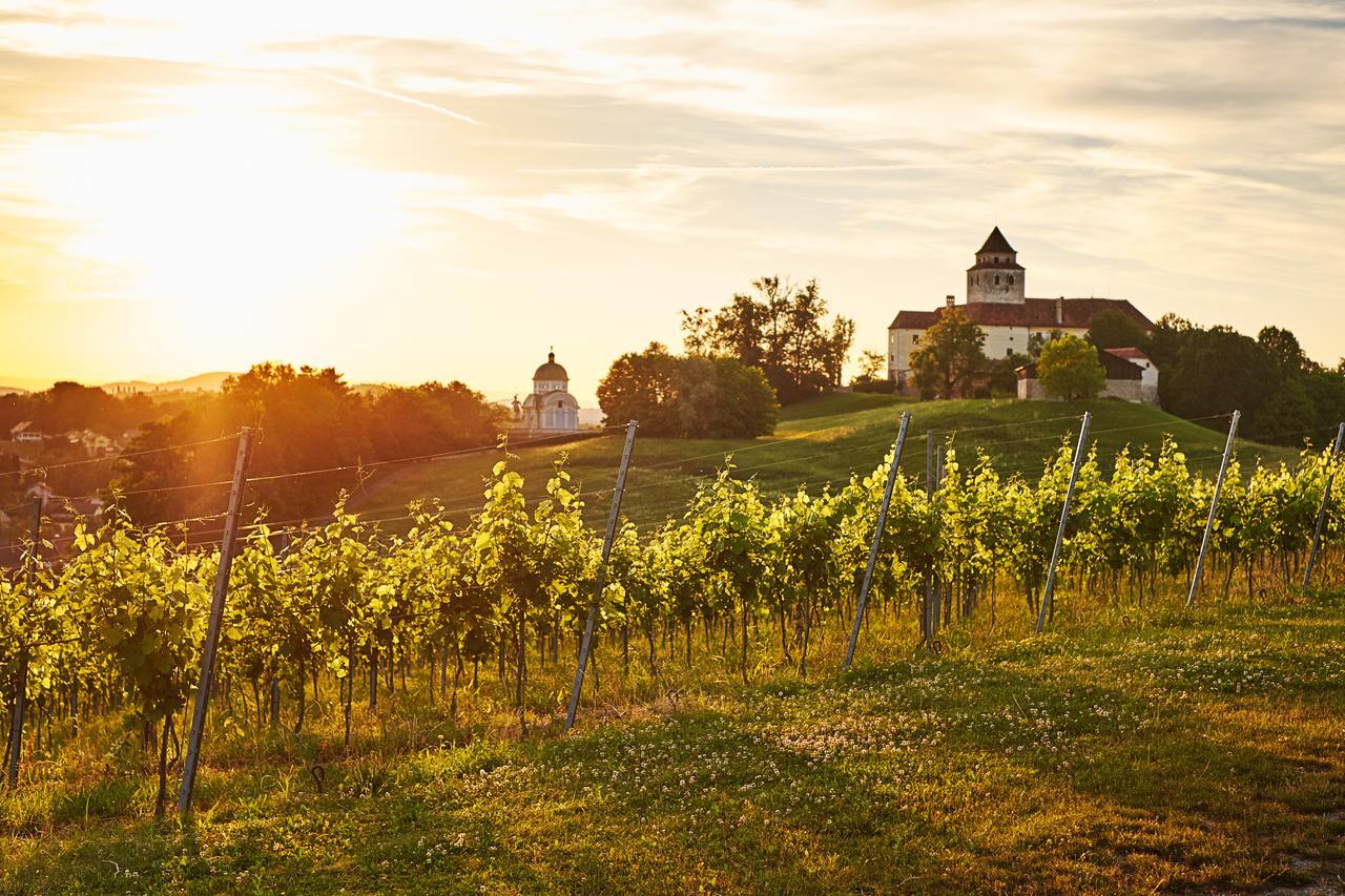 Loisium Wine & Spa Hotel Suedsteiermark เอห์เรนเฮาเซน ภายนอก รูปภาพ